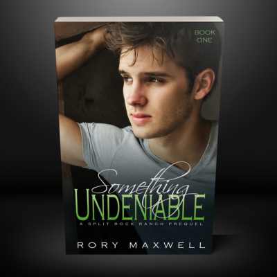 (Signed Paperback) Book 1 - Something Undeniable: An MM Age Gap Romance