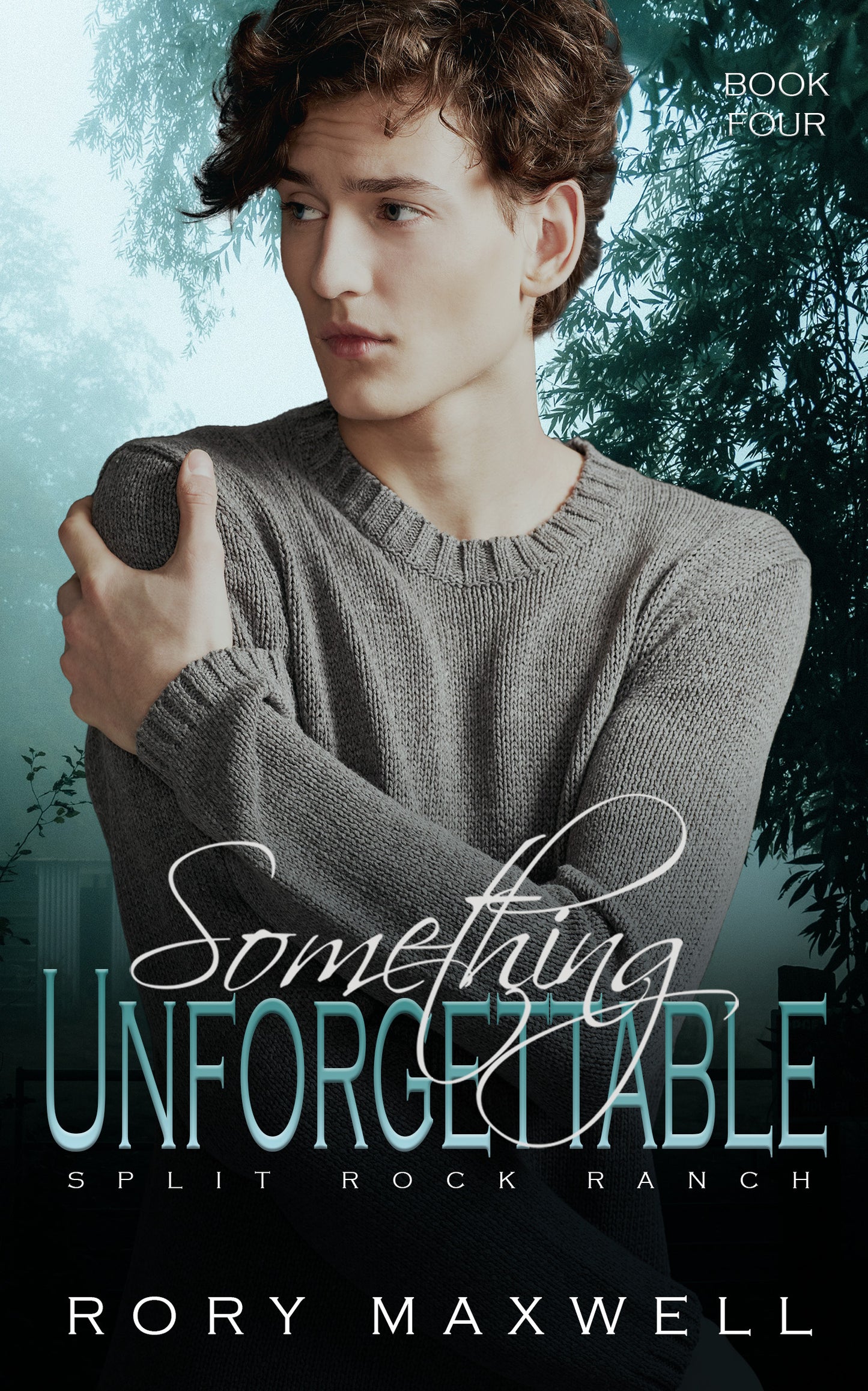 (Signed Paperback) Book 4 - Something Unforgettable: An MM Daddy Romance